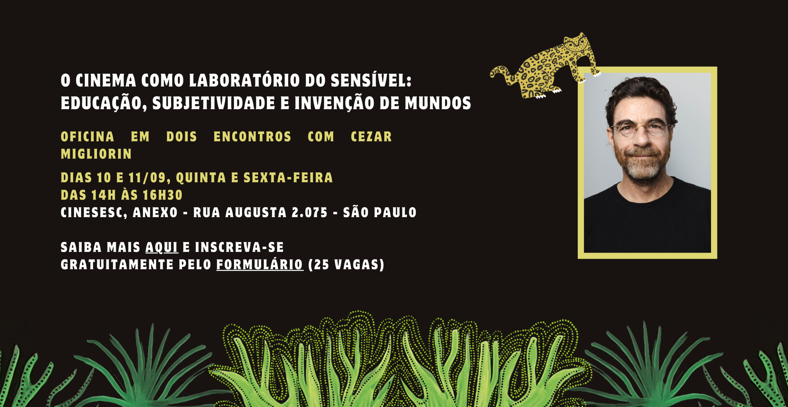 O cinema como laboratório do sensível