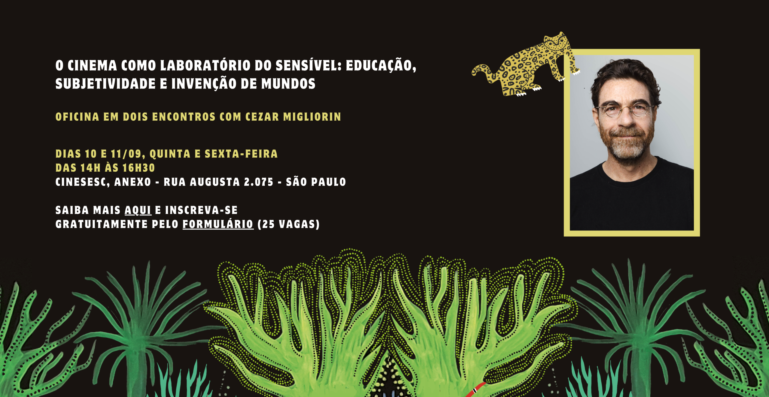 Cartografia